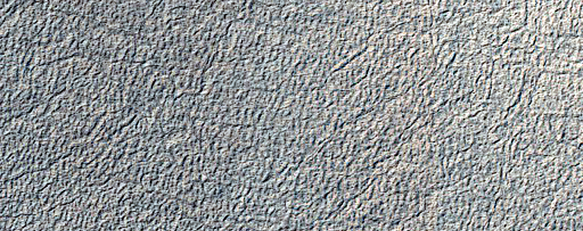Looking for Gullies
