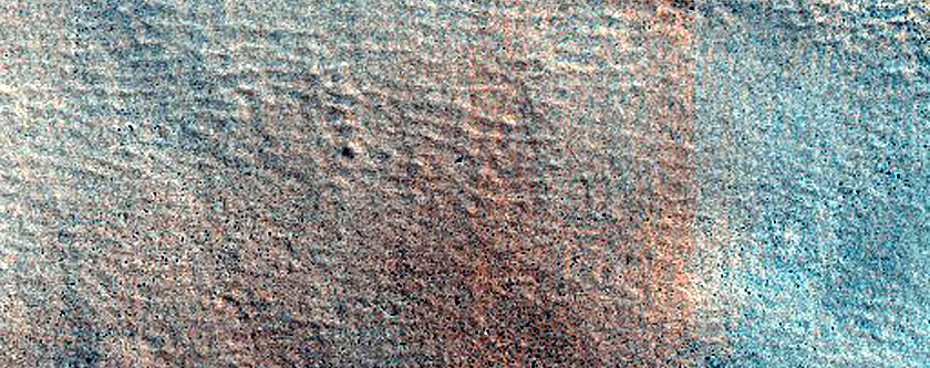 Terrain Sample
