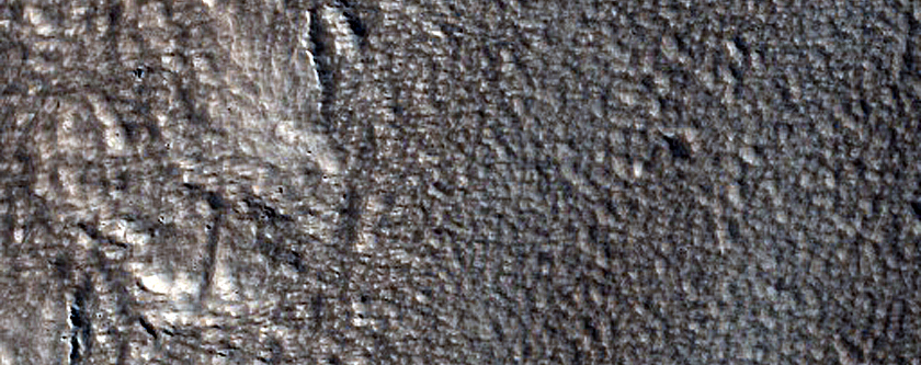 Tempe Terra
