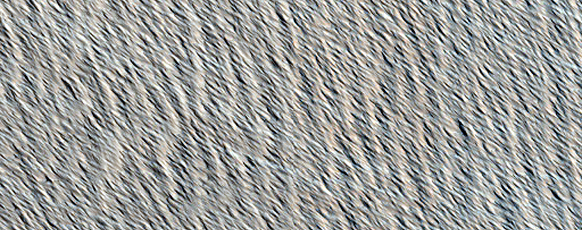 Terrain Sample