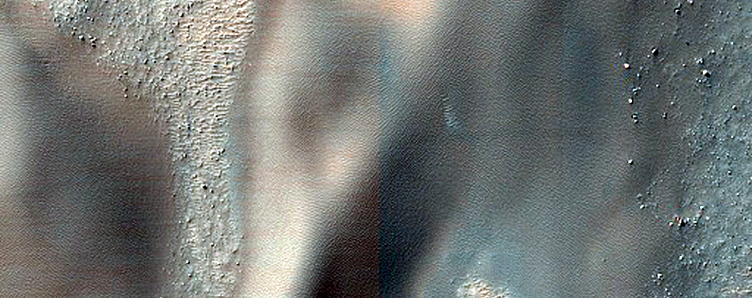 Monitoring Dust Devil Tracks