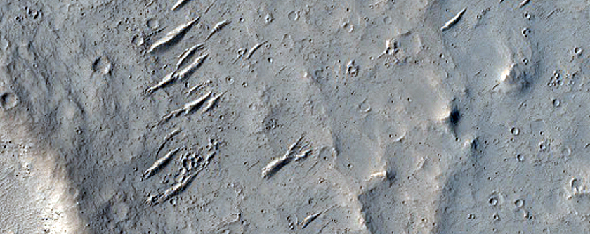 Mangala Valles