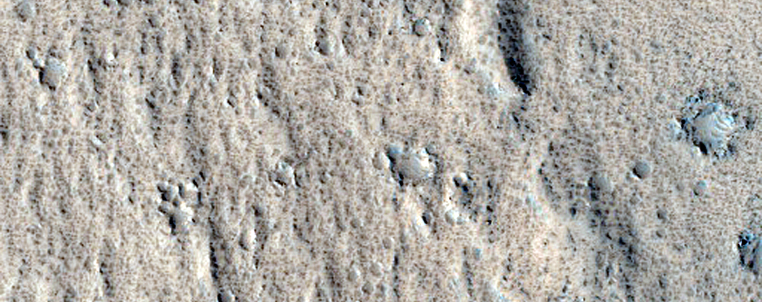 Terrain Sample