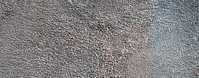 Terrain Sample