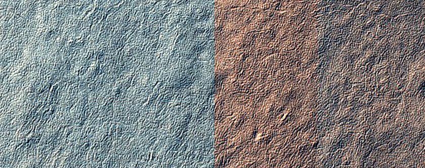 Terrain Sample