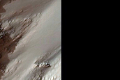 Phyllosilicates on Tyrrhena Terra Impact Craters
