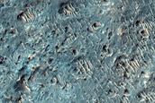 Phyllosilicates near Crater Rim in Tyrrhena Terra