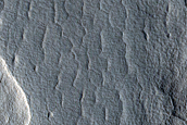 Scalloped Ejecta Margin