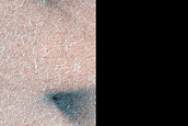 Seasonal Activity on Polygonal Terrain