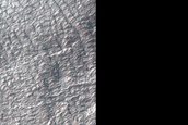 Scarp Monitoring