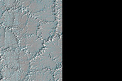 Bright and Dark Fans on Patterned Ground Dubbed Troy
