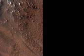 Gully Monitoring