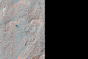 Site Dubbed Ithaca