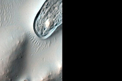 Fresh-Looking Ruptures on Crater Floor in Noachis Terra