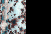 Region Dubbed Starfish