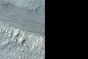Volatiles and Gullies in Wirtz Crater