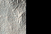 Gully Monitoring