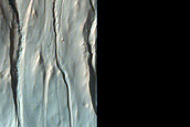 Gully Monitoring