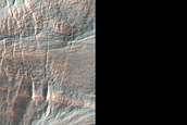 Gully Cluster