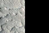 Exposed Ridge Networks near Ulysses Fossae