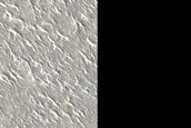Elysium Planitia