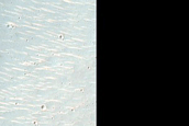 Tyrrhenus Mons Southwestern Rille near Caldera