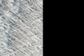 Northwestern Daedalia Planum