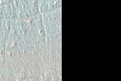 Small Barchan Dunes in Northeast Argyre Region