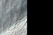 Gully Monitoring