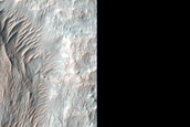 Possible Olivine Exposed by Impact Crater in Eridania Region Basin