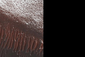 Crater Dunefield and Gully Defrosting Processes