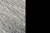 Candidate Recent Impact Site