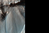 Gully Monitoring