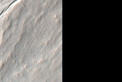 Gully Monitoring