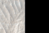 Gully Monitoring