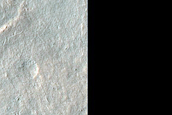 Multiple Dust-Rich Flows