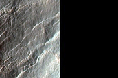 Gully Cluster West of Hellas Planitia