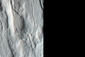 Gullies and Tongue-Shaped Flow Features East of Hellas Planitia