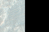 Small Occurrence of Possible Chlorides along Nirgal Vallis
