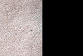 Layered Deposits in Liais Crater
