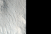 Elysium Planitia Flow Margins