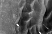 Low-Latitude Dunes with Seasonal Spots