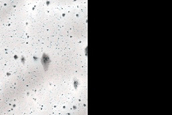 USGS Dune Database Entry Number 1094-696