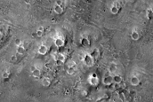 Pitted Cones in Chryse Planitia