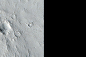 Lucus Planum