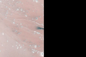 Defrosting Processes in Crater