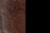 Impact Monitoring in Phlegra Montes