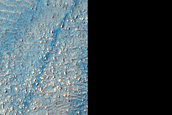 Dust-Raising Event and Streak Monitoring in Argyre Planitia