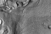 Gullies in Newton Crater