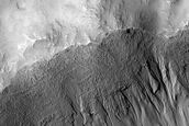 Gully Monitoring